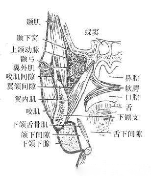 1531997851252199nNf8.png 131.png