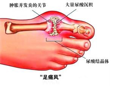1532052059272331bvUv.png 圖片208.png